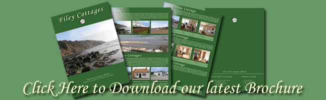 Click Here to Download Brochures